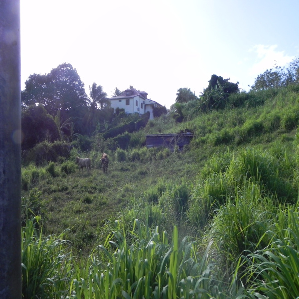 Offres de vente Terrain Lamentin 97129
