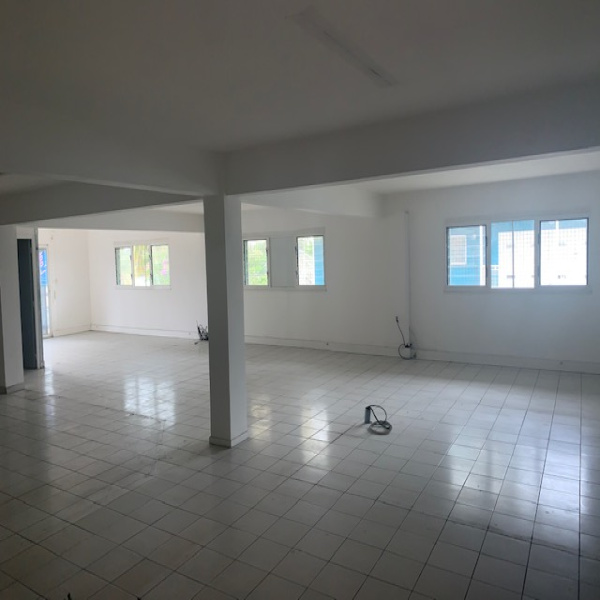 Location Immobilier Professionnel Local commercial Baie-Mahault 97122